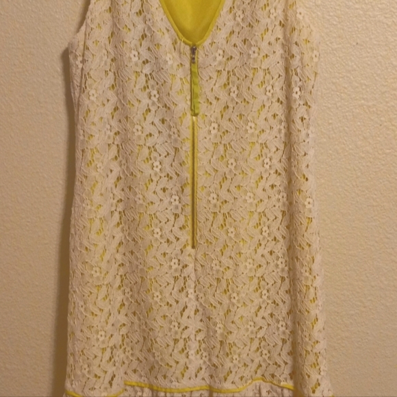 Ann Taylor Loft White Lace, Lime Green Lined Dress, Size 10 - Picture 7 of 9